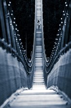Suspension bridge Highline 179
