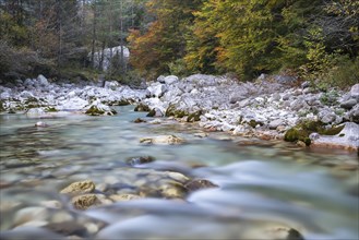River Koritnica in autumn