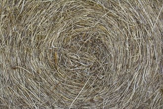 Straw bale