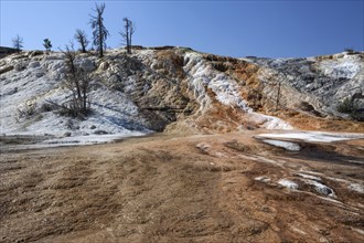 Travertine terraces