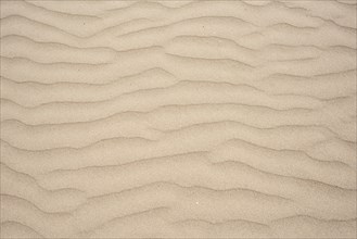 Sand with wave-like structure