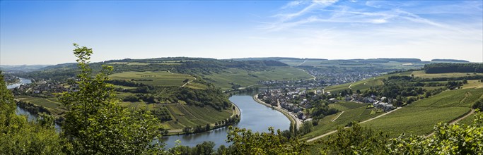 Wormeldange on the Moselle and vineyards