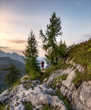 Hiker stands between two Larches