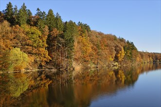 Autumn forest reflected in Mohnesee