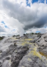 Steaming Pohutu Geyser and Prince of Wales Feathers Geyser