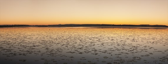 Nature reserve Federsee lake at sunrise