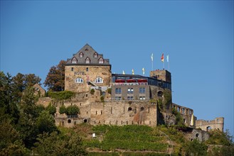 Rheinfels Castle