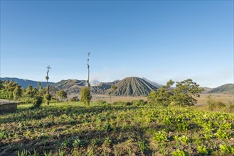 Fields in front of Mount Batok