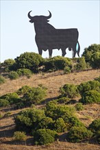 Black silhouette of a bull