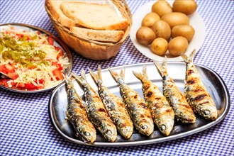 Grilled sardines with salad