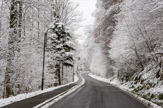 Curvy road