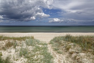 Beach and Baltic sea at Baabe