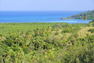 Green Nanuya Lailai Island