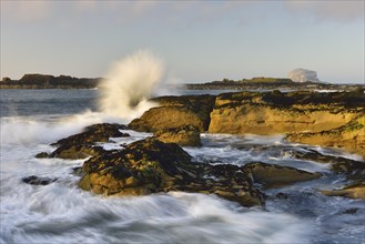 Wave breaking on rocks on the coast
