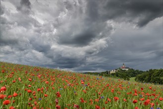 Thunderstorm over monastery Andechs with poppy field and cornflowers