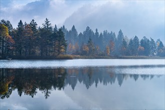 Morning fog in autumn at Lake Schwansee