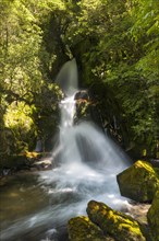 Waiatiu Falls