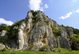 Rock Maderfelsen near Dollnstein
