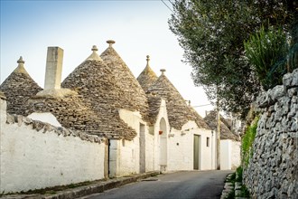 Street with traditional trulli houses