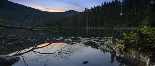 Grosser Arbersee at sunset
