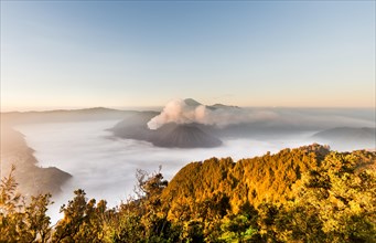 Mount Bromo