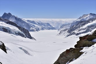 Aletsch glacier with snow