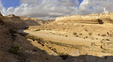 Limestone canyon of Wadi Shuwaymiyah