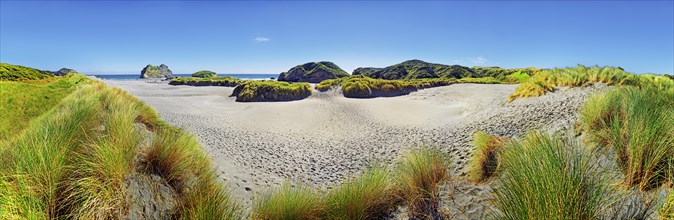 Sandy beach with grassy dunes
