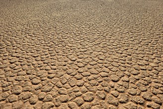 Cracked mud patterns on the playa