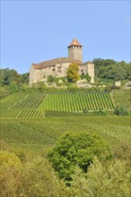 Castle Lichtenberg