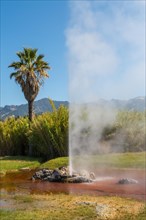 Fountain of the Old Faithfull Geysir