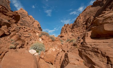 Rainbow Vista Trail