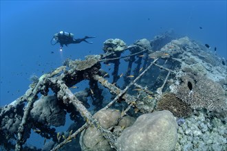 Diver near British Loyalty shipwreck