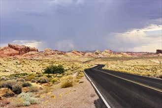 Lonely road through desert