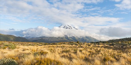Stratovolcano Mount Taranaki or Mount Egmont with cloud