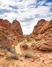 Rainbow Vista Trail