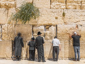 Praying Orthodox Jews at the Wailing Wall