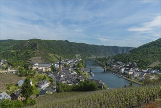 View from the Imperial castle of the city and Moselle