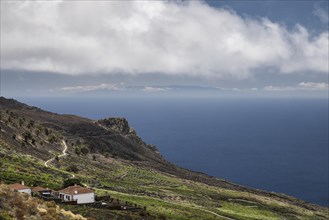 Viticulture at the southern tip of La Palma with rock Roque Teneguia