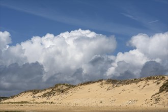 Dune with cumulus clouds
