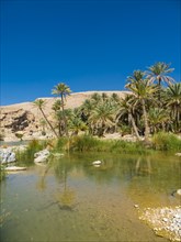 Wadi Bani Khalid