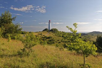 Lighthouse Dornbush on the Schluckwieksberg