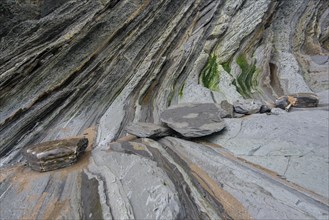 Flysch
