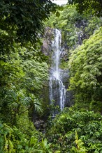 Makahiku falls in green vegetation