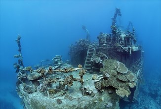 Stern of ship wreck