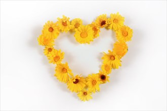 Heart of yellow flowers
