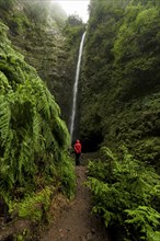 Waterfall with rainforest in fog and hikers