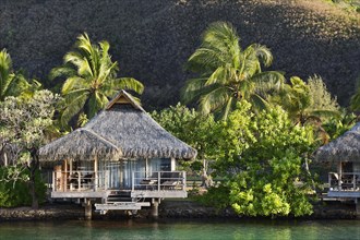 Bungalow with palm trees by the water