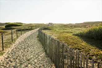 Way through the dunes to the beach