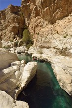 Water pools of oasis Wadi Bani Khalid